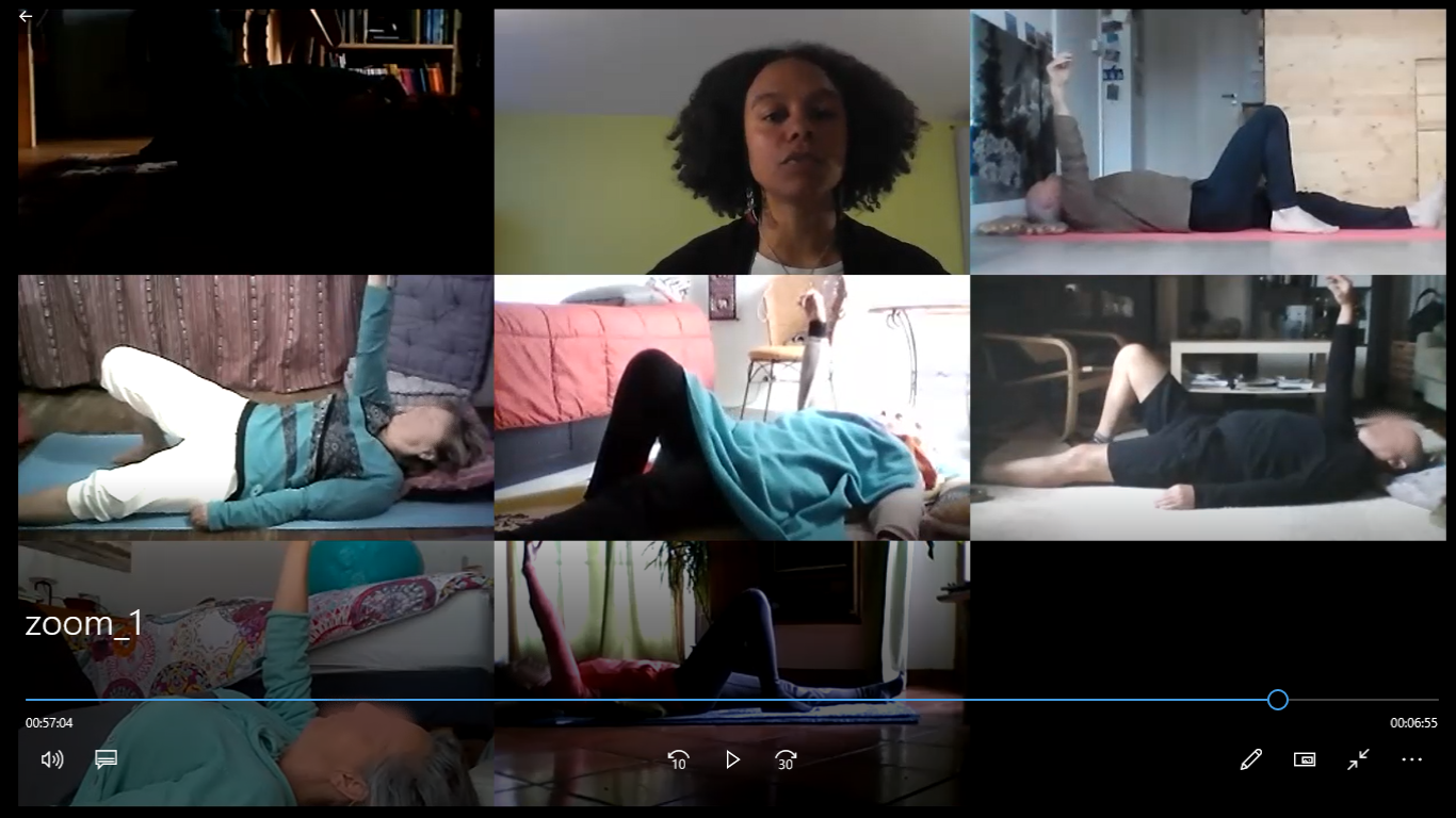 Imprim écran cours_ Feldenkrais_Zoom