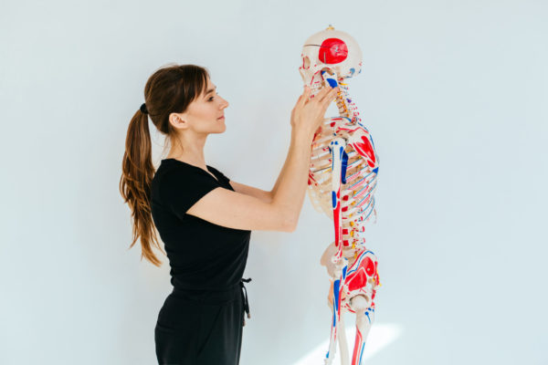 Formation anatomie gestes et postures