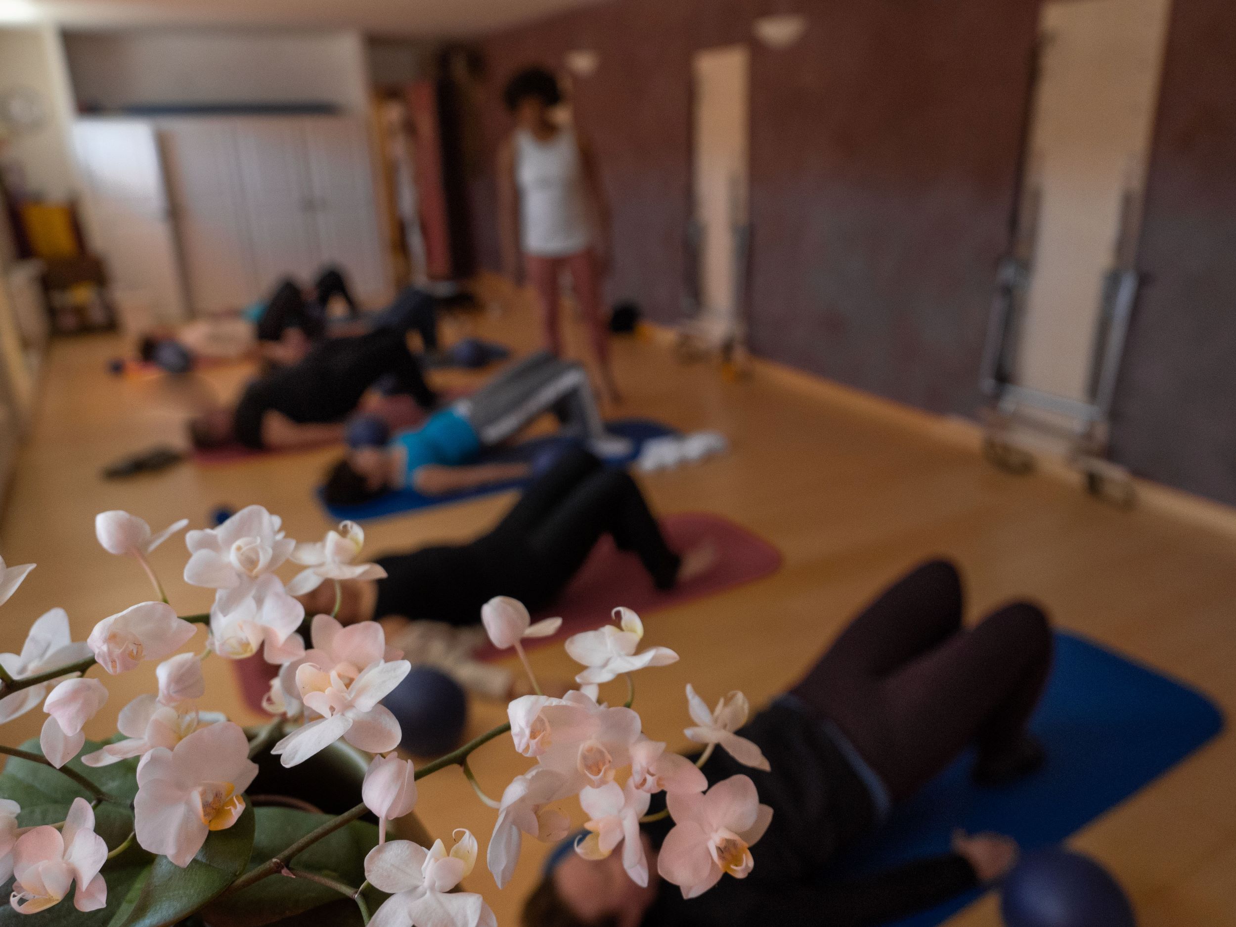 Cours collectif et orchidee