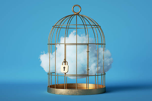 nuage enfermé dans une cage à oiseau